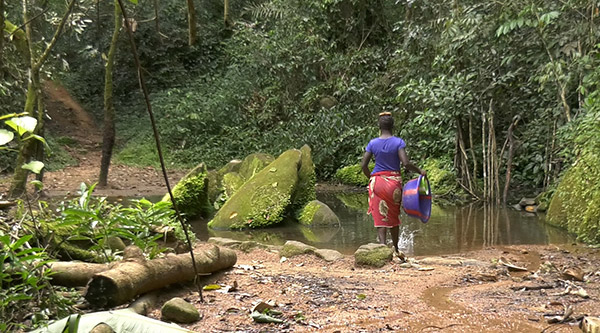 Guinea: Stiller Glaube im Regenwald