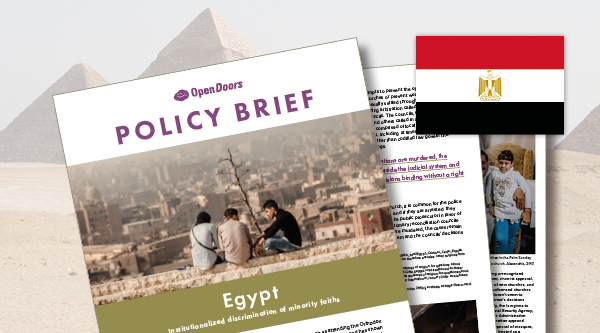 Policy Brief Aegypten