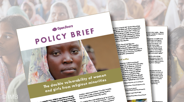 Geschlechterspezifischer Policy Brief