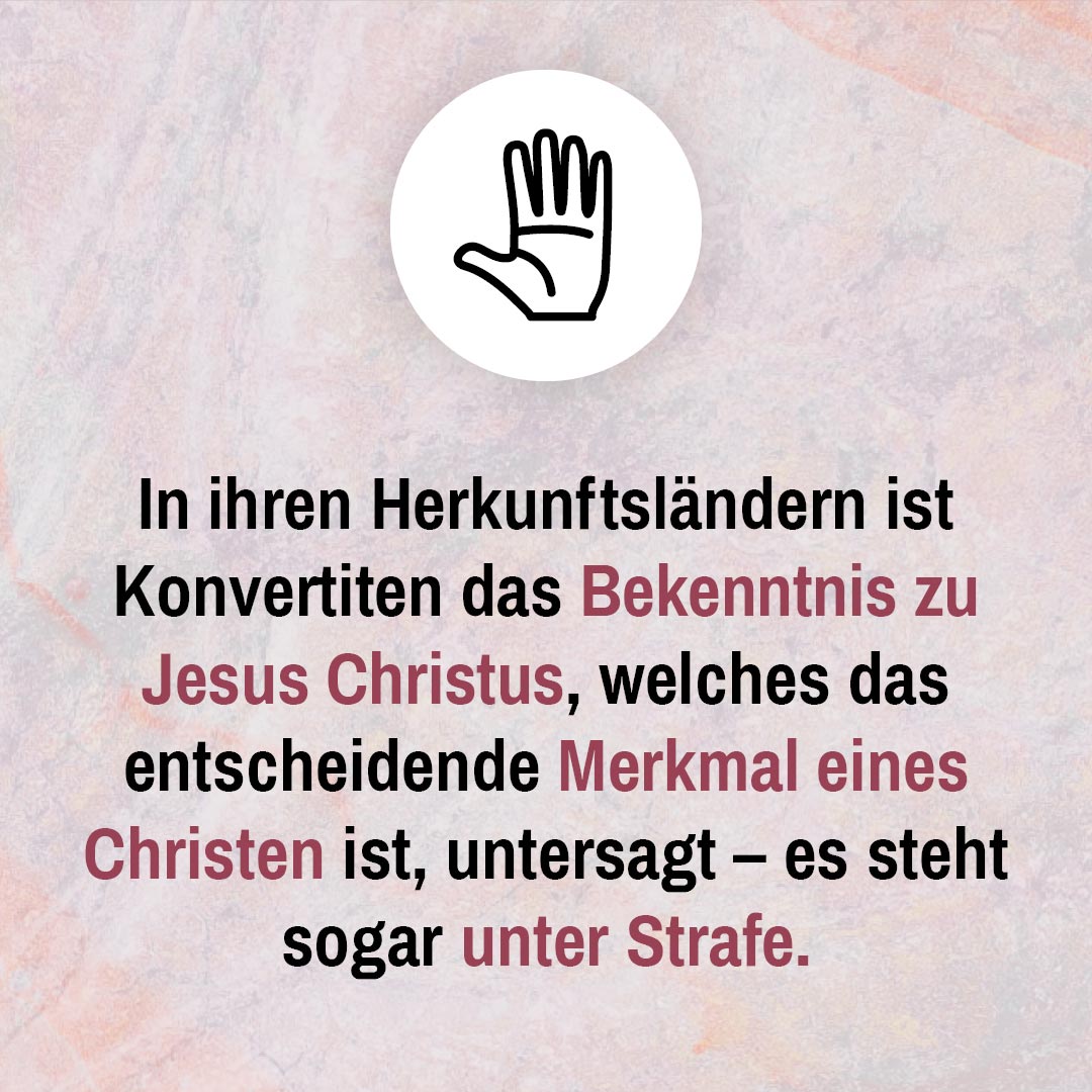 Ergebnisse der Erhebung 2021 - 2