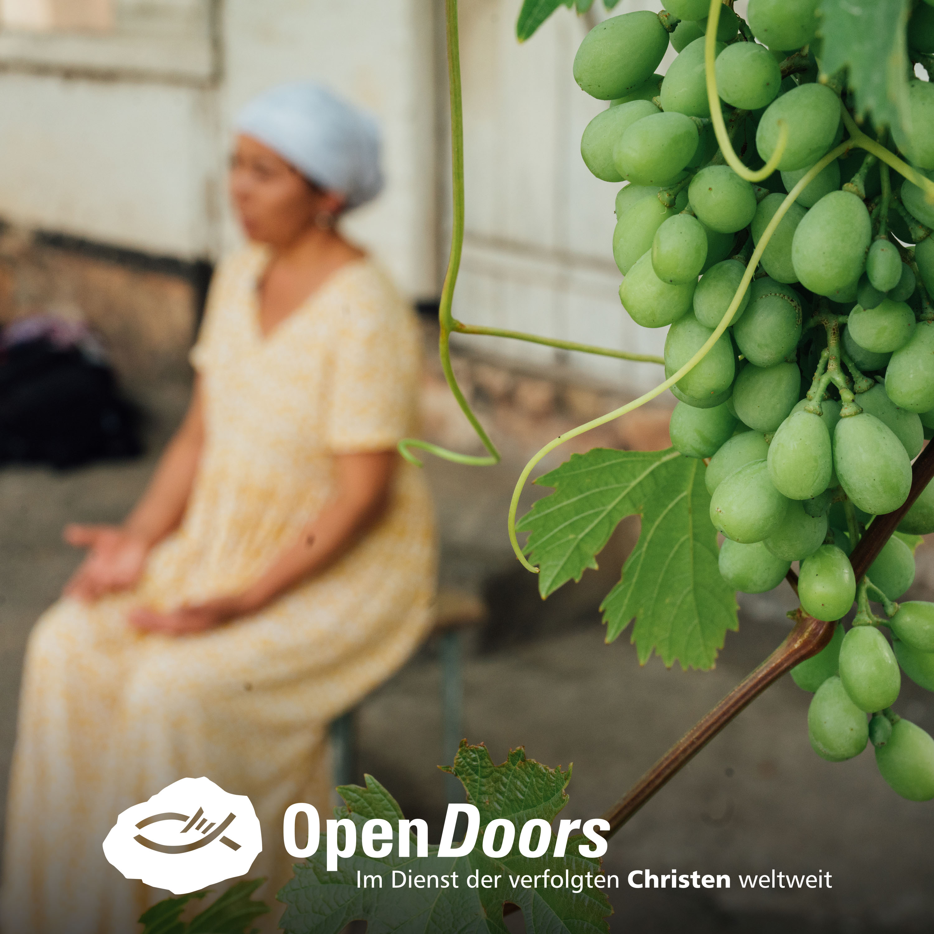 Open Doors Podcast – Begegnungen mit verfolgten Christen