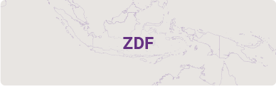 ZDF