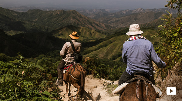 Zwei Männer reiten auf Maultieren in ein bewaldetes Tal in Kolumbien hinab