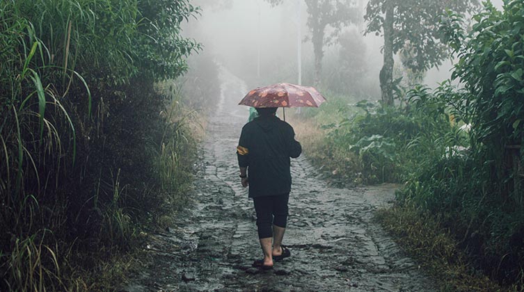 Person geht mit einem Regenschirm über einen matschigen Pfad