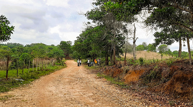Ackerland und ein Feldweg in Kolumbien