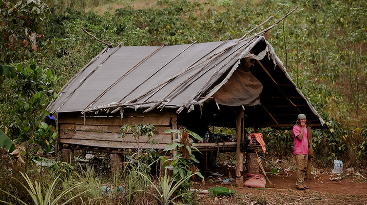 Ein Stelzenhaus in Laos vor einem Wald