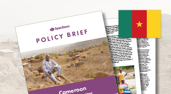Vorschau zum Policy Brief Kamerun