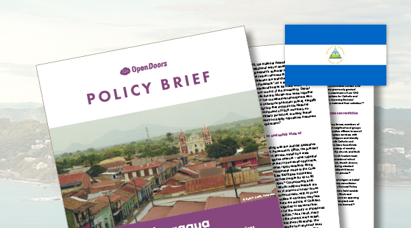 Vorschau zum Policy Brief Nicaragua