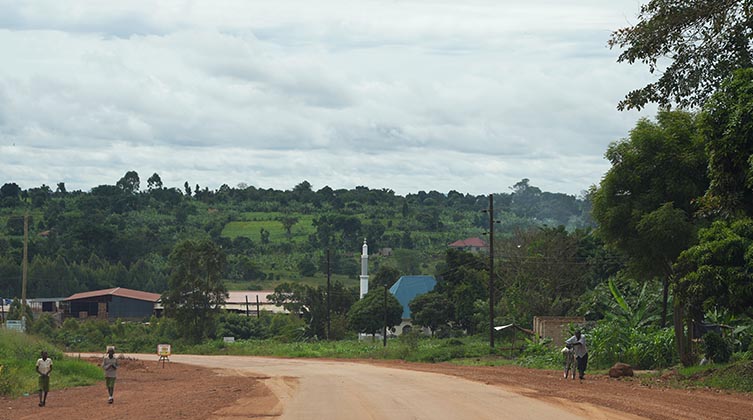Eine Straße führt durch ein Dorf mit einigen Häusern und Bäumen