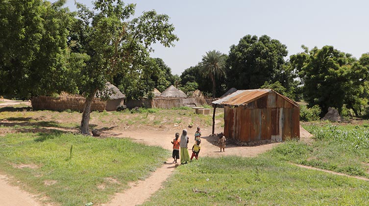 Ein Dorf im Nordosten Nigerias