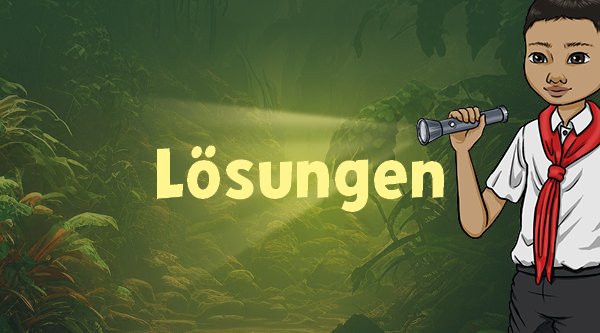 Lösungen
