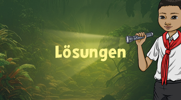 Lösungen