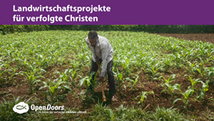 Erntedank Einführung