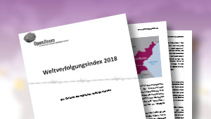 ausführlicher Bericht