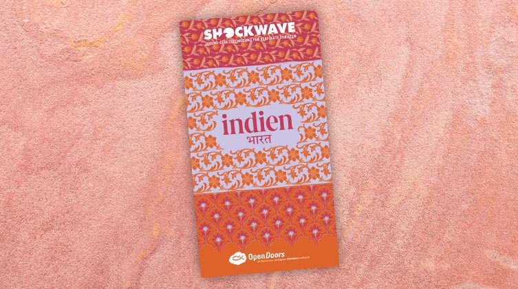 Shockwave-Materialpaket vor einer orange-rosa Wand aus Raufasern.
