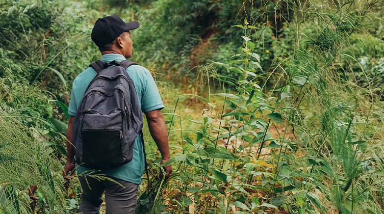 Ein Mann mit hellblauem Shirt und schwarzem Rucksack geht durch grüne Pflanzen