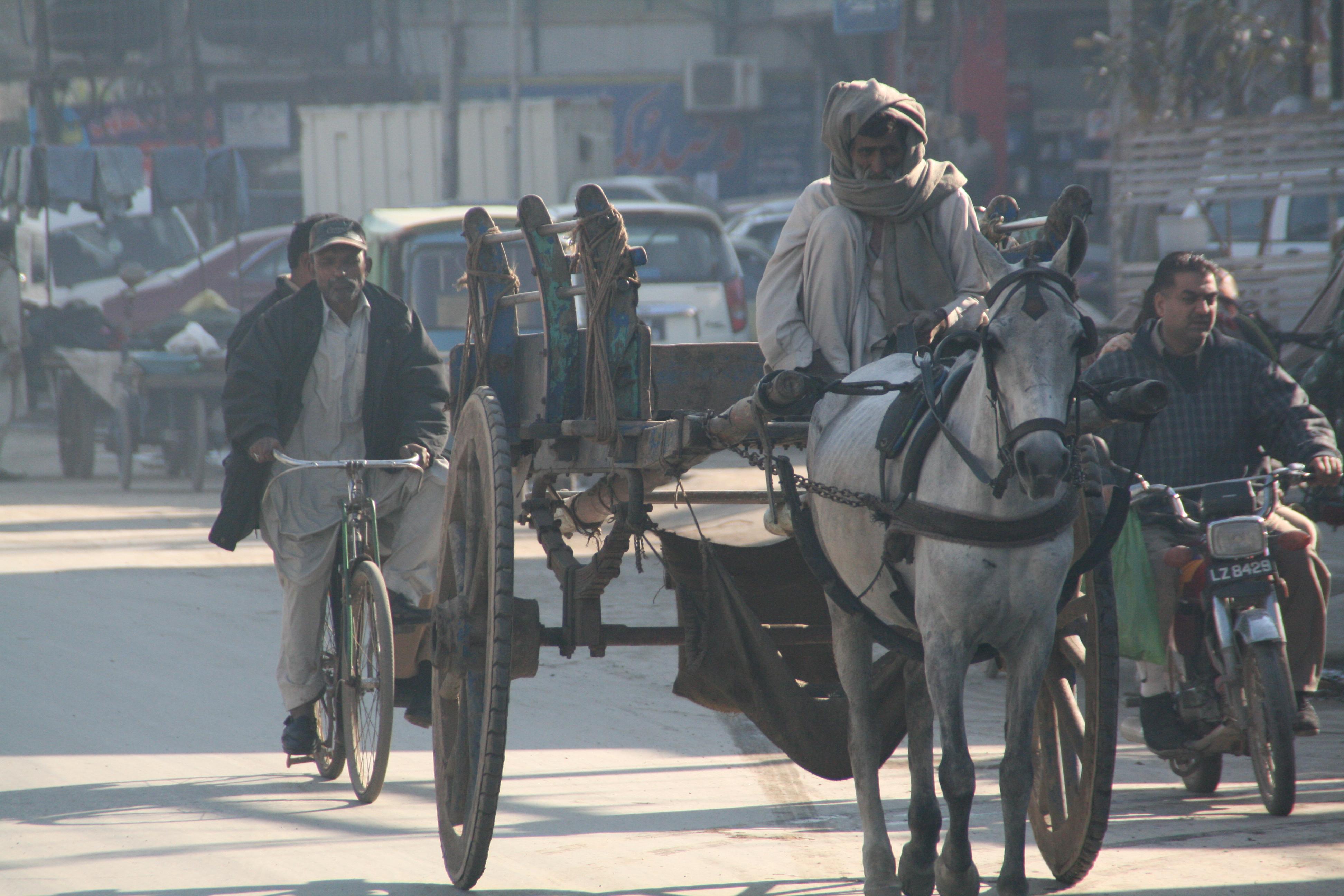 Pakistan: eine Straßenszene in Lahore, Autos und ein Mann mit einem Pferdekarren
