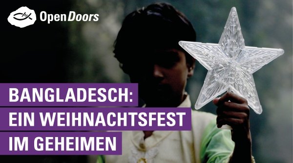Junge mit Weihnachtsstern in der Hand