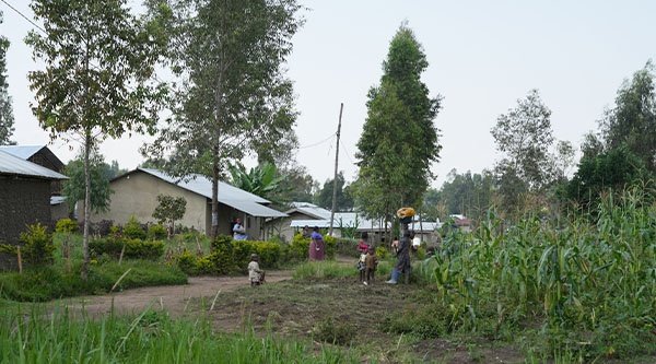Dorfszene aus Afrika