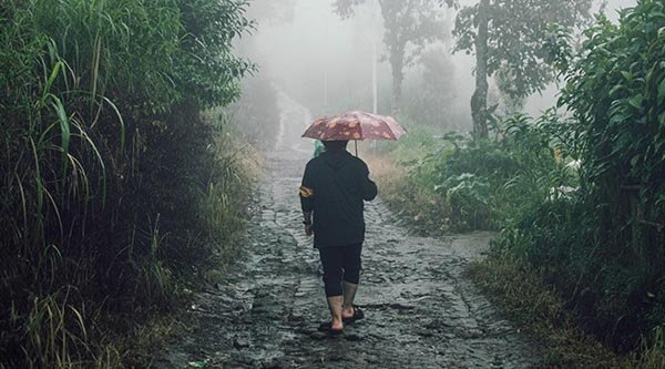 Person geht mit einem Regenschirm über einen matschigen Pfad