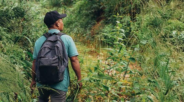 Ein Mann mit hellblauem Shirt und schwarzem Rucksack geht durch grüne Pflanzen