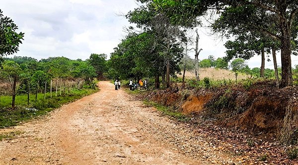 Ackerland und ein Feldweg in Kolumbien