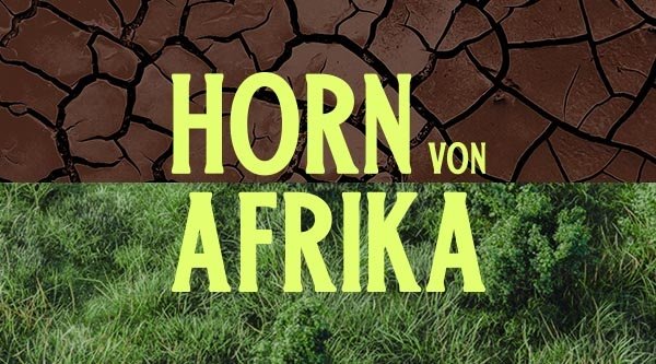 Schriftzug Horn von Afrika auf geteiltem Bild. Oben ein karger und rissiger Wüstenboden. Unten blühende Pflanzen.