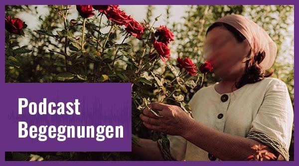 Eine Frau pflückt rote Rosen