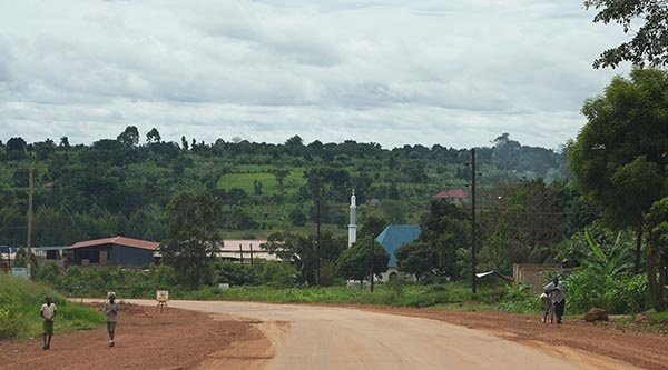 Eine Straße führt durch ein Dorf mit einigen Häusern und Bäumen