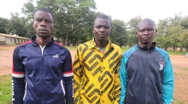 Drei afrikanische Männer blicken in die Kamera