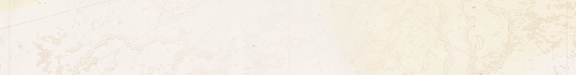 Hintergrundgrafik mit Linien einer Weltkarte