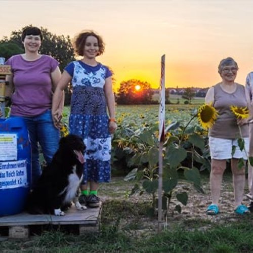 Ein älteres Ehepaar, deren Tochter und Enkelin und ein Hund stehen vor einem Sonnenblumenfeld, links und rechts eine Kassentonne mit Aufschrift