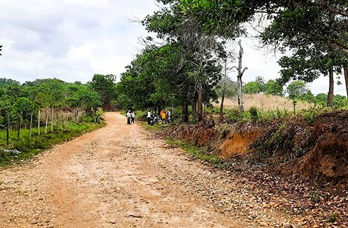 Ackerland und ein Feldweg in Kolumbien