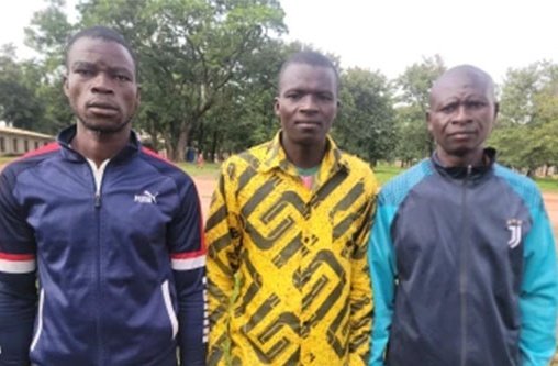 Drei afrikanische Männer blicken in die Kamera