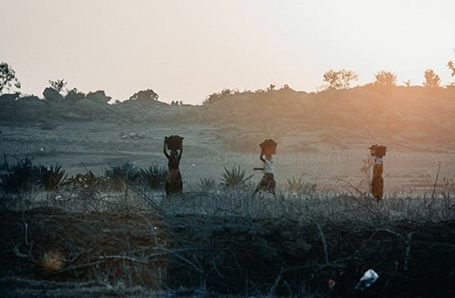 Frauen auf den Feldern Nigerias (Symbolbild)